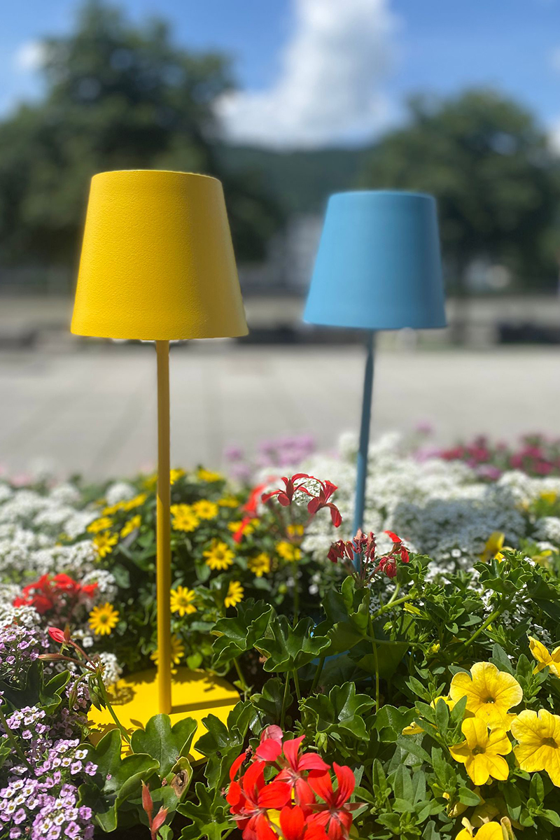HOC- Home Collection